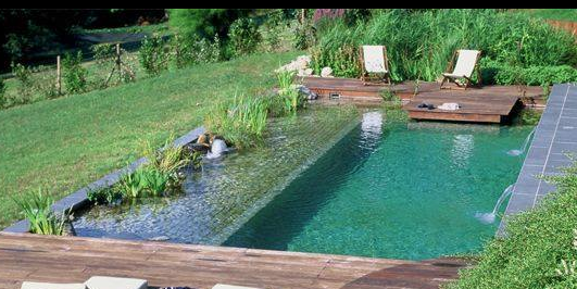 Matériel nécessaire pour l'entretien d'une piscine naturelle